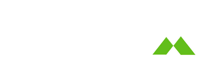 Stratex Online Logo - Capital Planning Software